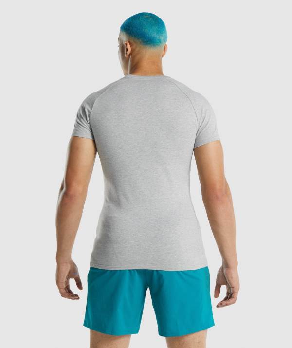 Panske Tricka Gymshark Apollo Svetlo Siva | UH6508372
